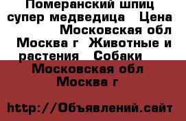 Померанский шпиц супер медведица › Цена ­ 25 000 - Московская обл., Москва г. Животные и растения » Собаки   . Московская обл.,Москва г.